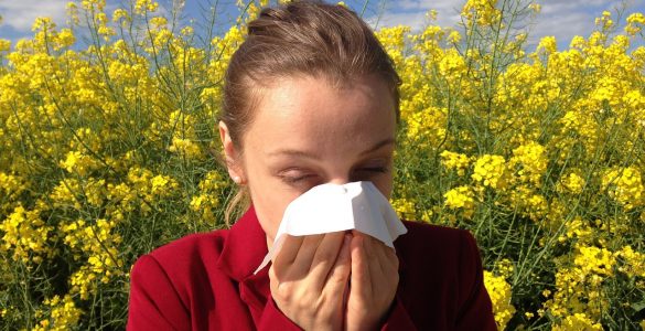Seasonal Allergies at a Glance